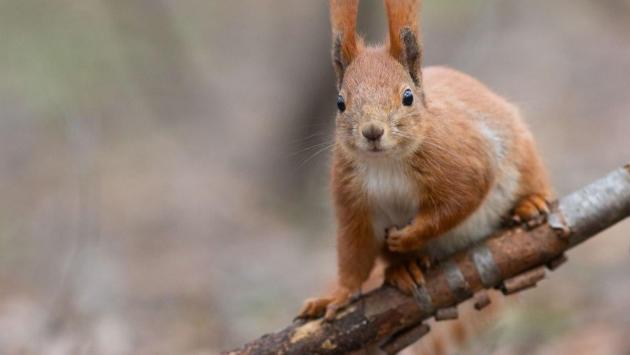 1711461528 1820 Економічні новини - головні новини України та світу