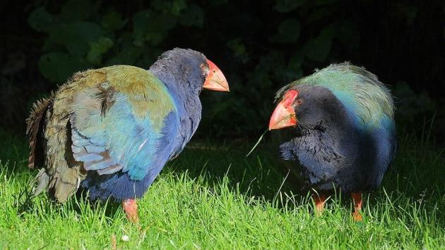 1765220997 3475 Економічні новини - головні новини України та світу