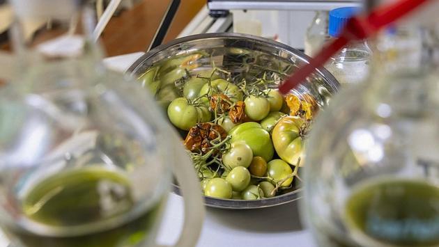 1766088010 5053 Економічні новини - головні новини України та світу