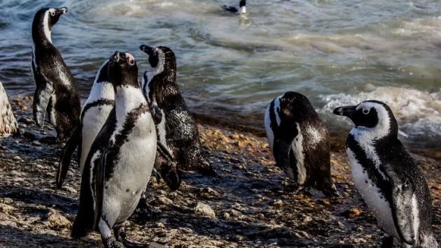 28 main v1765227735 Економічні новини - головні новини України та світу