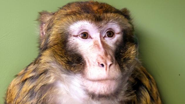 4 1 1140x445 1 Економічні новини - головні новини України та світу