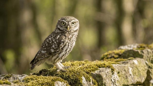 419dbcc59af793ad552f11cb5a6099d3 Економічні новини - головні новини України та світу