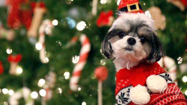 4defab906d5d2be2834223a05a2fad6b Економічні новини - головні новини України та світу