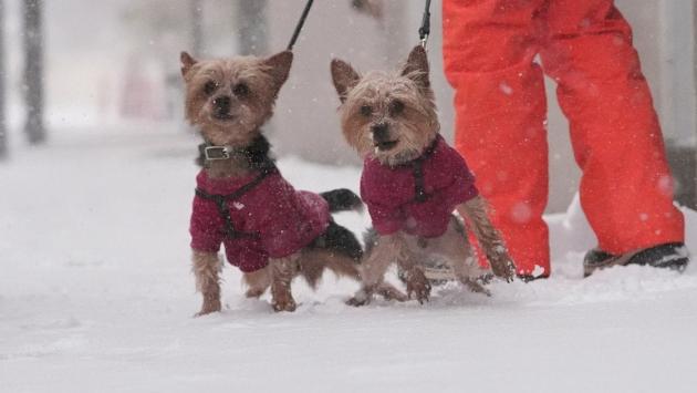 5f698f5d9e34ef63ff0798764a90655f Економічні новини - головні новини України та світу