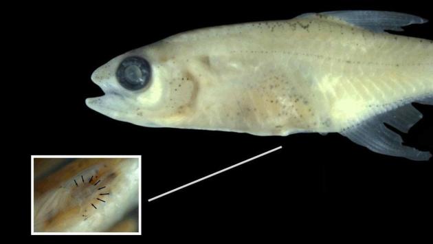 650972c797a6c6af669d99f9630bc966 Економічні новини - головні новини України та світу