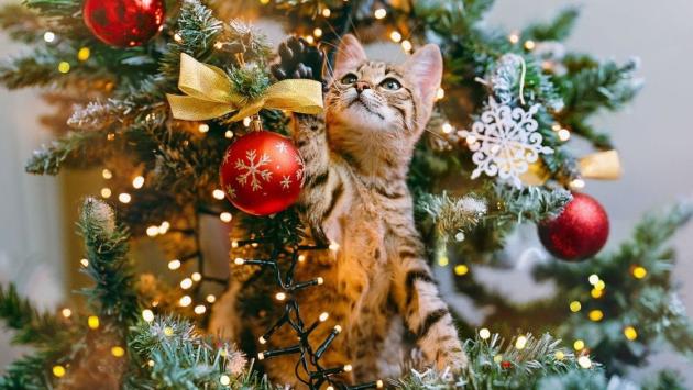 71db65e9e4178fc3c845280fd7cfd78d Економічні новини - головні новини України та світу