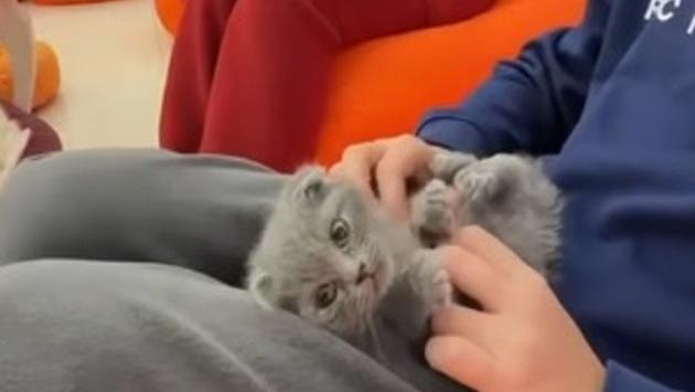 728341bf4e19e3d59d57067ef8b8d053 Економічні новини - головні новини України та світу