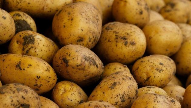 7ba6dd2231e457c8798ed6574f7d3d62 Економічні новини - головні новини України та світу