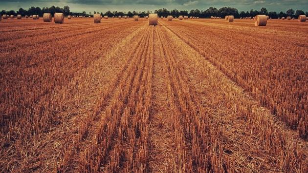 83b11c554d4dce1cd7f02d5c5c1e5080 Економічні новини - головні новини України та світу