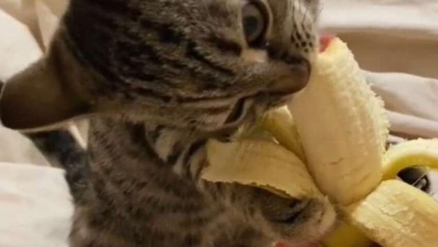 a7wsb5c06muqxwcurjf4zvmmkzgddg3q Економічні новини - головні новини України та світу