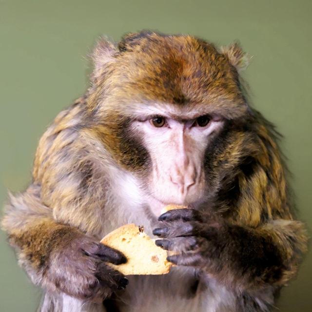 dscf7100 kopiya fotor 20251216115215 2048x2048 1 Економічні новини - головні новини України та світу