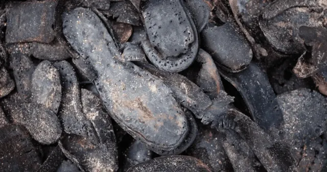 ef8f72462d5e33023e084421000e6456 Економічні новини - головні новини України та світу