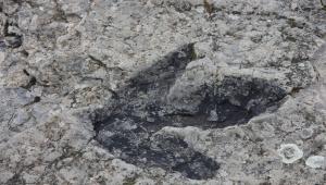 f5c7e9873c6599b4cb3013857854e49a Економічні новини - головні новини України та світу