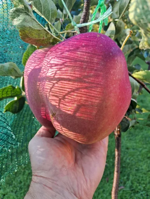 hq5gk5 1c12a60780d6124d819086522e8fd3c1 Економічні новини - головні новини України та світу