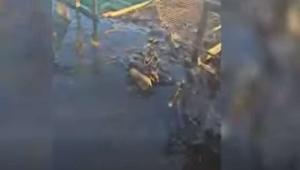 igrsc5r6u6nly5l5swjsawpwai3see k Економічні новини - головні новини України та світу