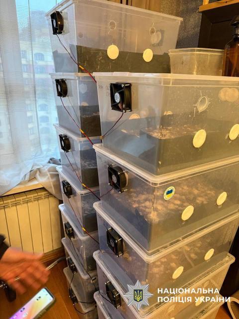 image 17 1 Економічні новини - головні новини України та світу