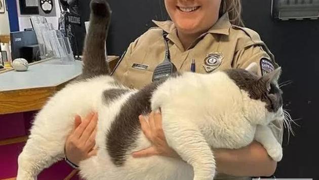 image 22 7 Економічні новини - головні новини України та світу