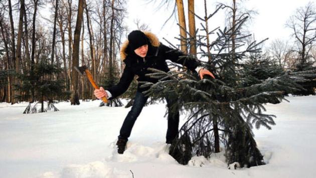 k5jpp8akgv ngyfyptocz4bbvnd7sn3b Економічні новини - головні новини України та світу