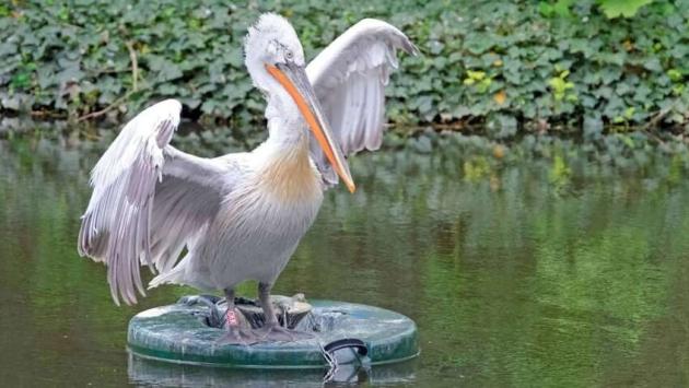 mvfah0nzhxbc1yhpaqq1jbosik pumo Економічні новини - головні новини України та світу