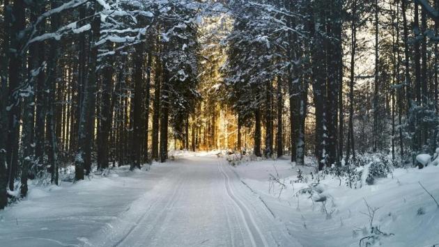 pexels 8moments 688660 Економічні новини - головні новини України та світу