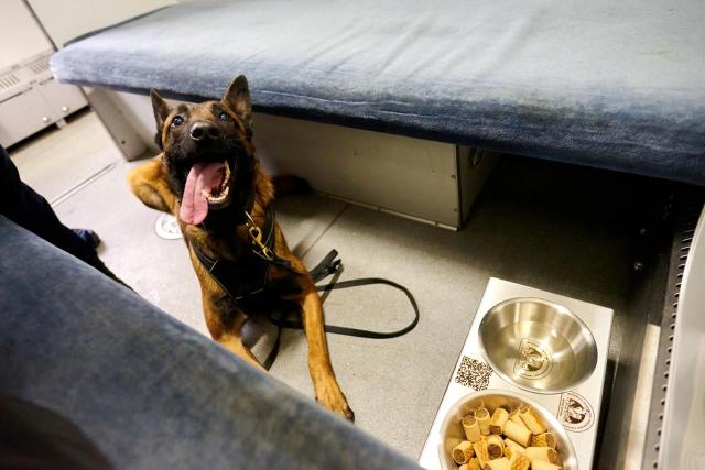 vahon2 Економічні новини - головні новини України та світу