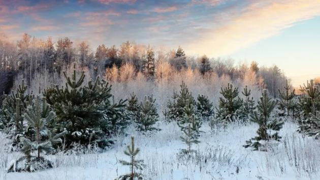 winter landscape sunrise Економічні новини - головні новини України та світу