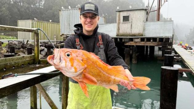 zl2klmfdtfcw8sunjcckx1zjrjr7neoo Економічні новини - головні новини України та світу