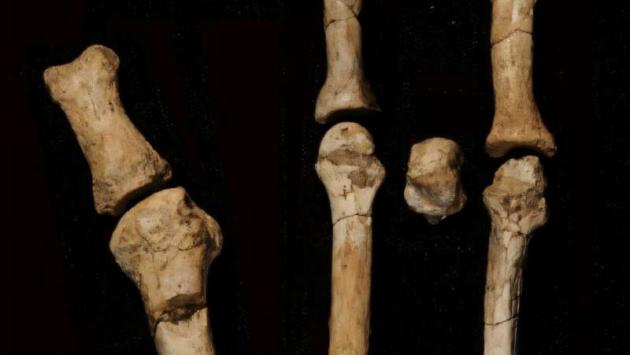 znahidky Економічні новини - головні новини України та світу