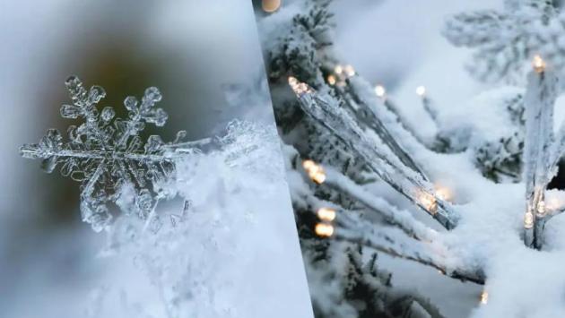 znimok ekrana 2025 12 24 o 21.33.18 Економічні новини - головні новини України та світу