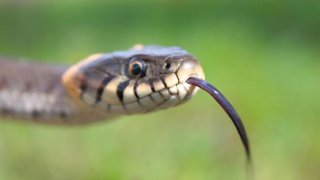 1636209014 3983 1 Економічні новини - головні новини України та світу