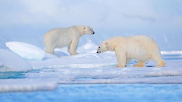 1769784853 9830 Економічні новини - головні новини України та світу