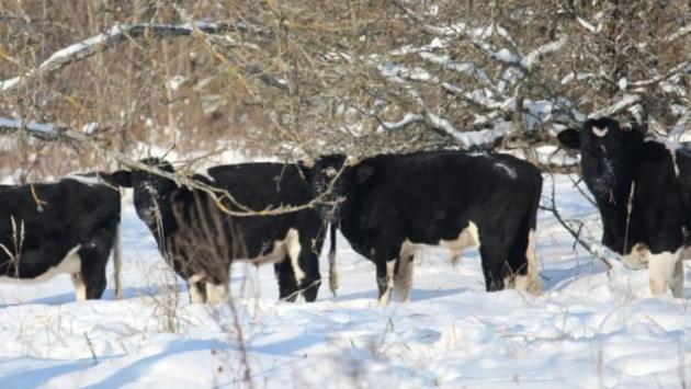 182960 main Економічні новини - головні новини України та світу