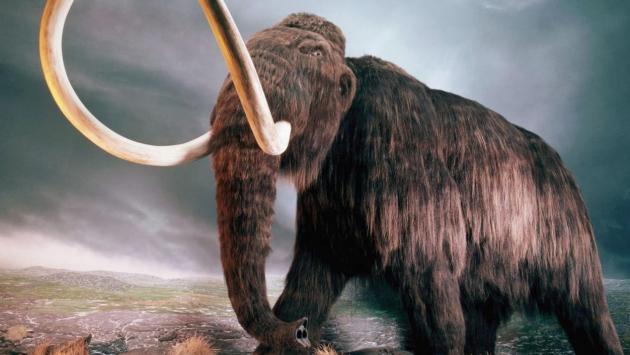 18 main v1584450115 Економічні новини - головні новини України та світу