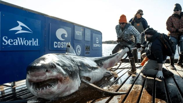 97eba8107661f4f2ff2457f9b12718ad Економічні новини - головні новини України та світу