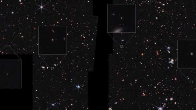 as puzzling as a platy Економічні новини - головні новини України та світу