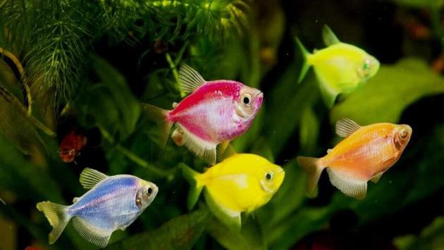 ickxlnbhynslotifnstsa87errsg1ktu Економічні новини - головні новини України та світу