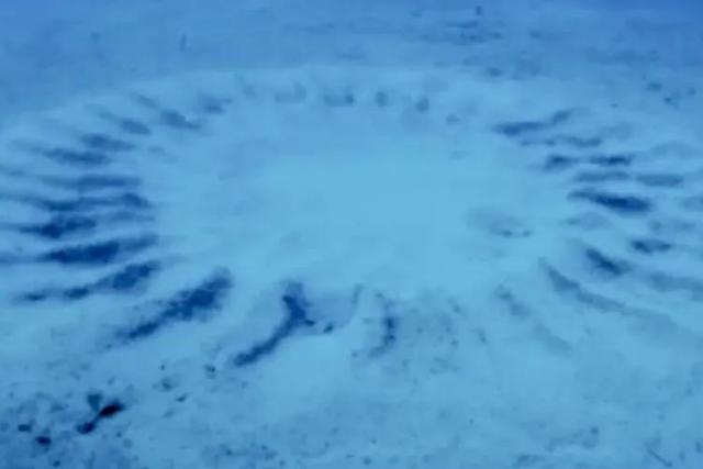 image 24 12 Економічні новини - головні новини України та світу