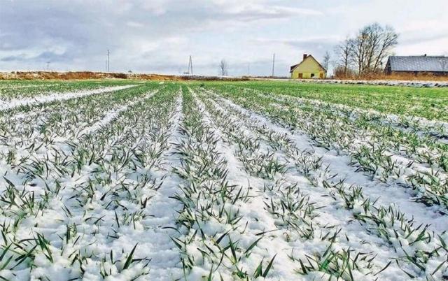 image 42 5 Економічні новини