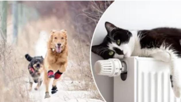 izobrazhenie viber 2026 01 29 16 29 47 020 Економічні новини - головні новини України та світу