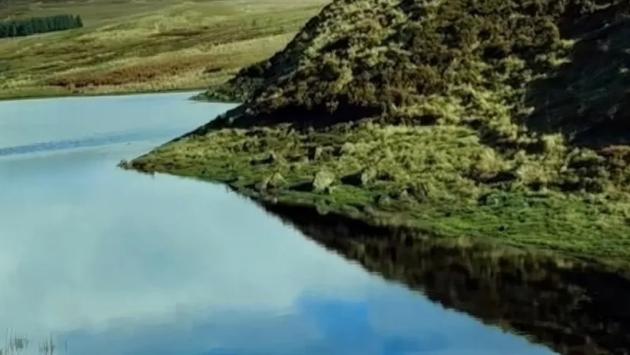 logarima Економічні новини - головні новини України та світу