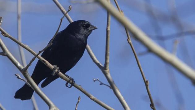 low angle selective focus shot b Економічні новини - головні новини України та світу