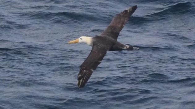 screenshot2 1 Економічні новини - головні новини України та світу