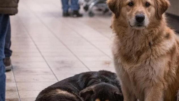 znimok ekrana 2026 01 21 o 18.55.59 Економічні новини - головні новини України та світу