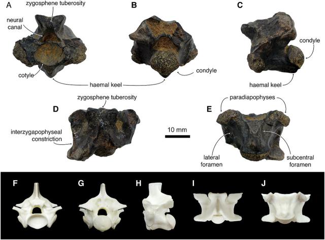 ileuetiknddmkm2cd7nzd8ksk6addgyuusptd0ut Економічні новини - головні новини України та світу