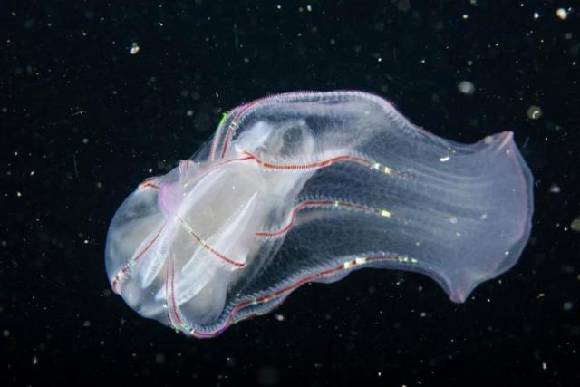 image 13 Економічні новини - головні новини України та світу