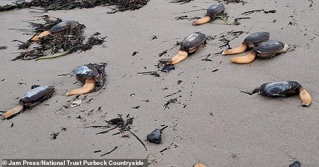 image 9 31 Економічні новини