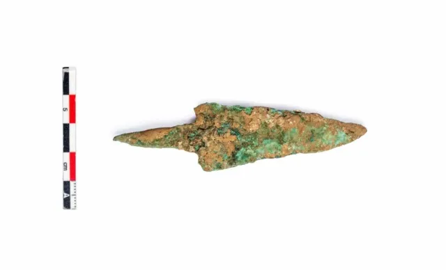 the copper arrow found in the bisons ribs gobierno de navarra scaled 1 Економічні новини - головні новини України та світу