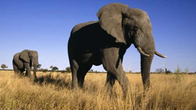 yzd9ljwxfypfe5ox9usfobni9g00q7nj 1 Економічні новини - головні новини України та світу